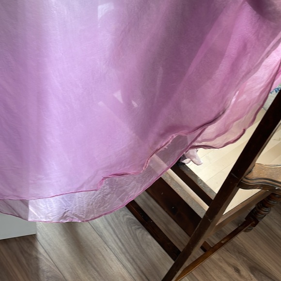 Beautiful Silk gown, size 8 - Picture 6 of 11